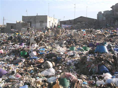 Environnement au Sénégal : Tendre vers un (Eden)par la propreté.