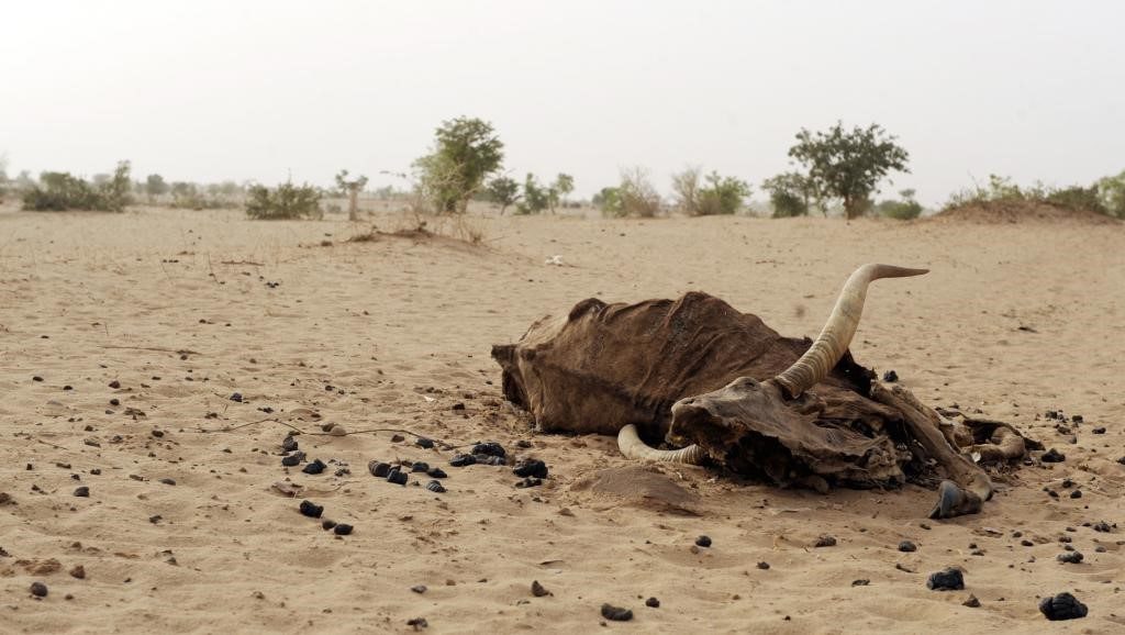 Où va l’Afrique ? Minée par la misère