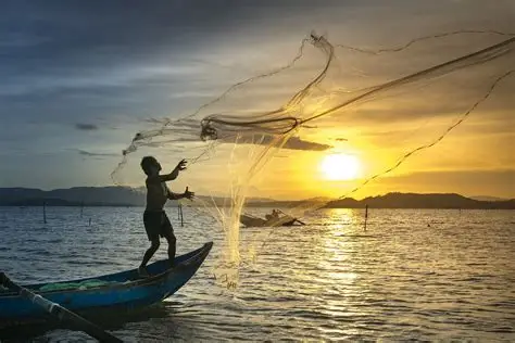 La pêche au Sénégal : entre richesse maritime et crise silencieuse